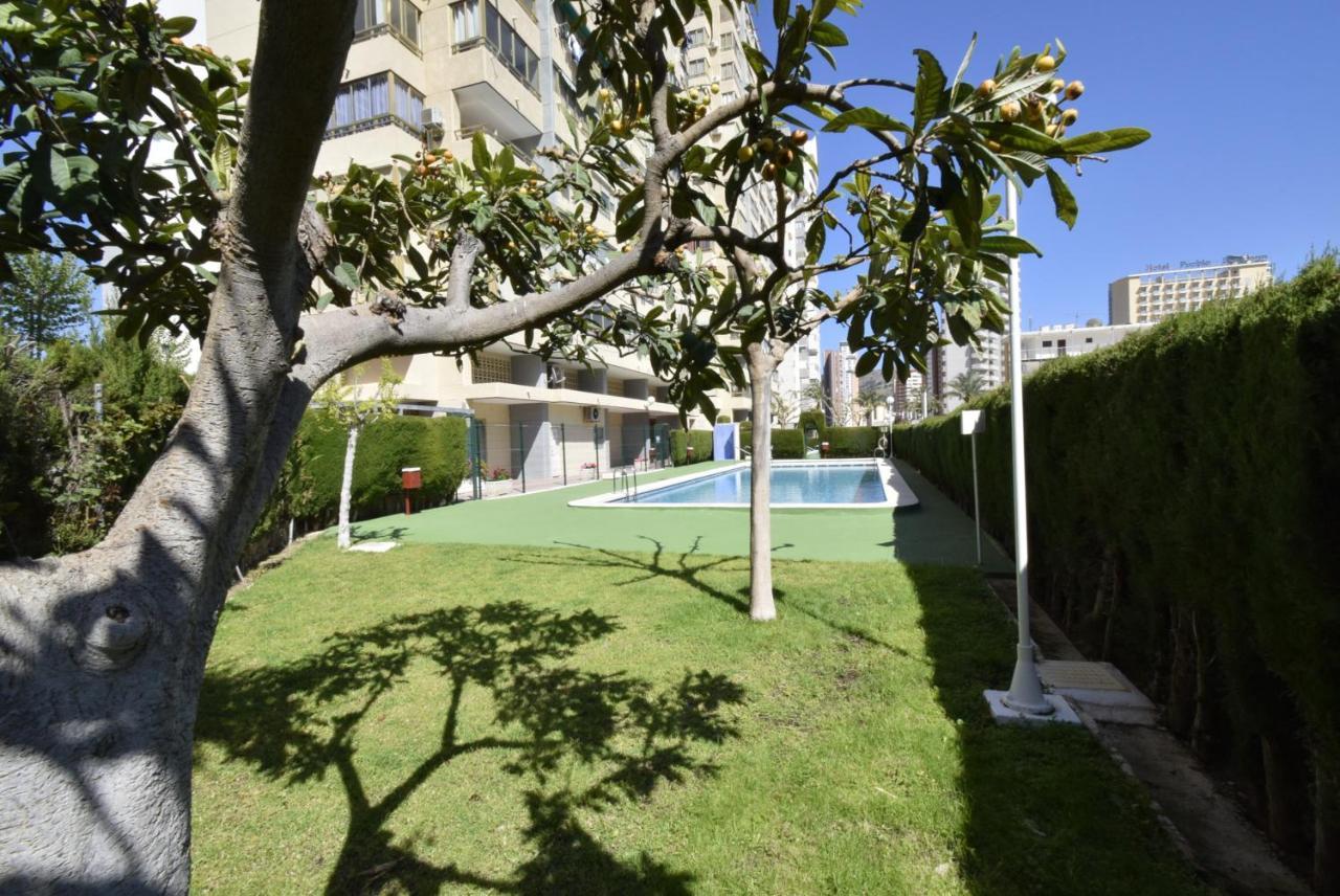 Mariscal 4 - Fincas Arena Benidorm Zewnętrze zdjęcie